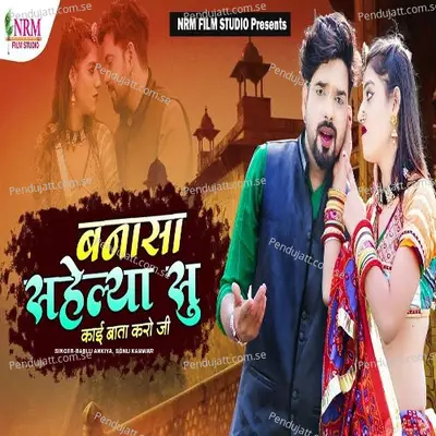 Bnasa Sahelya Su Kai Bata Karo Ji - Bablu Ankiya album cover 