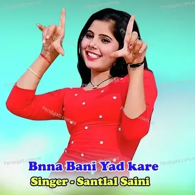 Bnna Bani Yad Kare - Sant Lal Saini album cover 