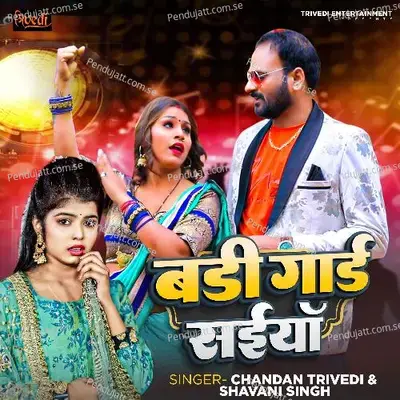 Bodyguard Saiya - Chandan Trivedi album cover 