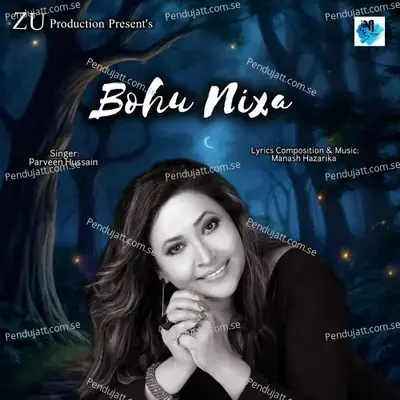 Bohu Nixa - Parveen Hussain album cover 