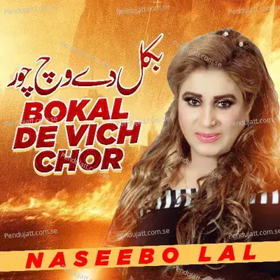 Bokal De Vich Chor - Naseebo Lal cover album