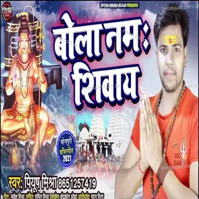 Bola Namah Shivay - Piyush Mishra album cover 