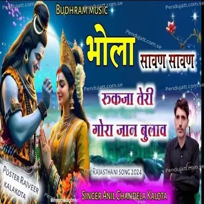Bola Savan Savan Rukja Teri Gora Jaan Bulav - Anil Chandela album cover 