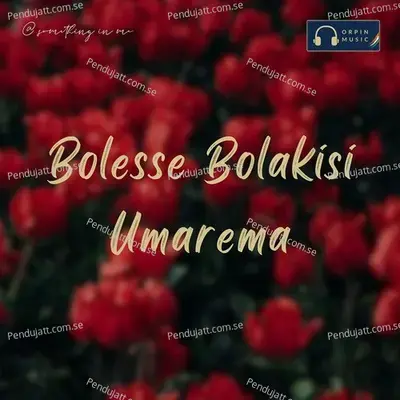 Bolesse Bolakisi Umarema - Arya Devarakonda album cover 