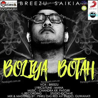 Boliya Botah - Breezu Saikia album cover 