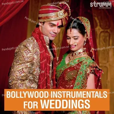 Bollywood Instrumentals For Weddings - Various Artists cover album