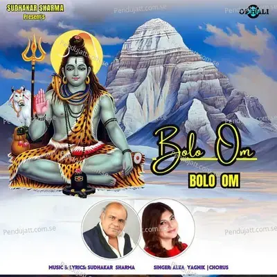 Bolo Om Bolo Om - Alka Yagnik album cover 