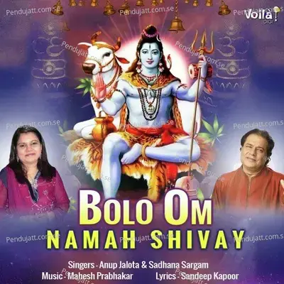 Bolo Om Namah Shivay - Anup Jalota