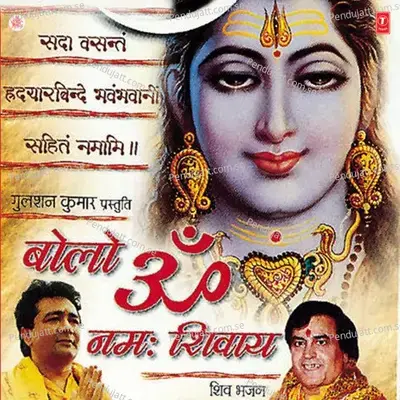 Ik Din Gaura Parvati Se - Narendra Chanchal album cover 