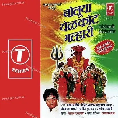 Dev Baanuwar Bhalala - Vishwas Gaikwad album cover 