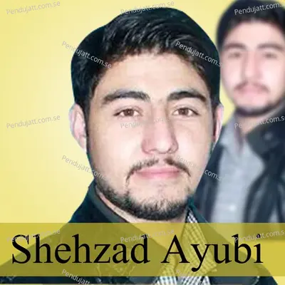 Bom Khurushi Tu Ma Khashak No Bos - Shehzad Ayubi album cover 