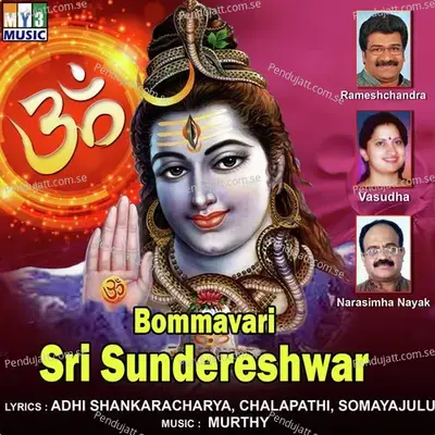 Deva Slokam - M.V. Ananth Kumar album cover 