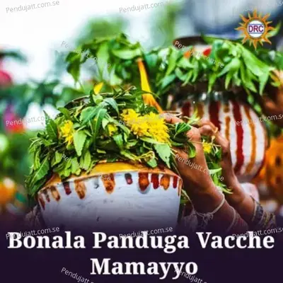 Bonala Panduga Vacche Mamayyo - Lalitha Sagari album cover 