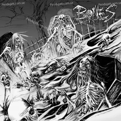 Bones - Bones cover album