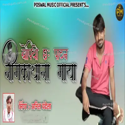 Bopiyo Ch Patan Nimkathana Maya - Anil Chandela album cover 