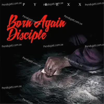 Born Again Disciple - PyRexx album cover 