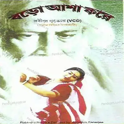 Mayabono Biharini - Rabindranath Tagore album cover 