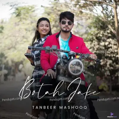 Botah Jake - Tanbeer Mashooq album cover 