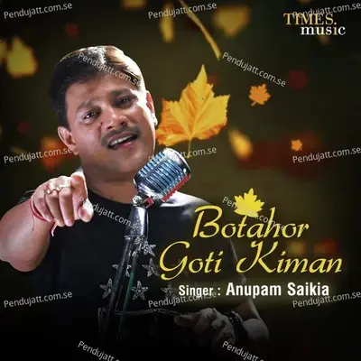 Botahor Goti Kiman - Anupam Saikia album cover 