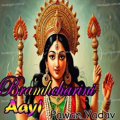 Bramhcharini Aayi - Pawan Yadav album cover 