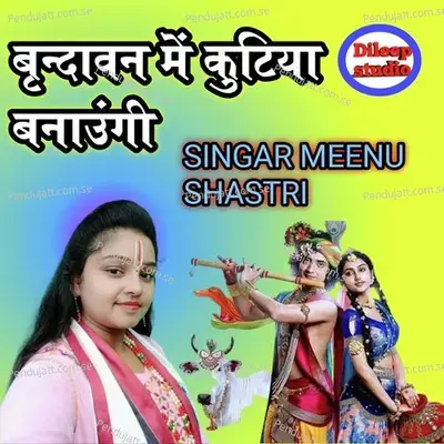Brandavan Me Kutiya Banaungi - Meenu Shastri album cover 
