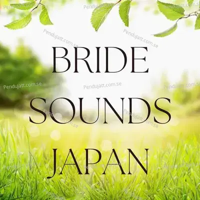 Bride Sounds Japan - Lakhan Hire album cover 