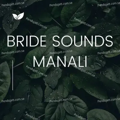 Bride Sounds Manali - Lakhan Hire album cover 