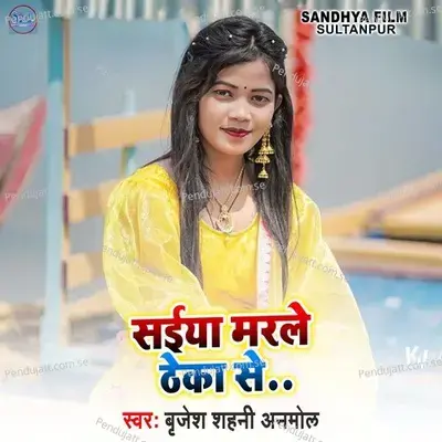 Brijesh Shahni Anmol - Brijesh Shahni Anmol album cover 