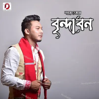 Brindaban - Pallab Deka album cover 