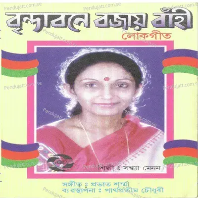 Shankar Guru - Sandhya Menon album cover 