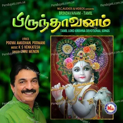 Brindavanam Tamil - Unni Menon cover album
