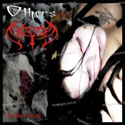 Brilliant Reflections - Others album cover 