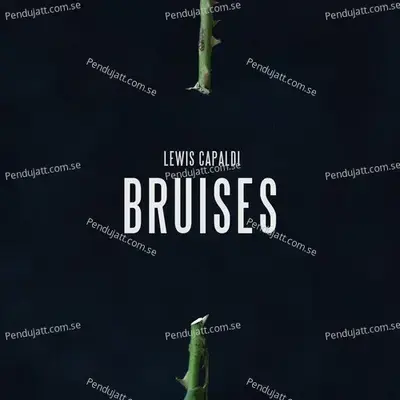 Bruises - Lewis Capaldi