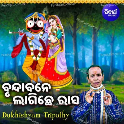 Brundabane Lagichhe Rasa - Dukhishyam Tripathy album cover 