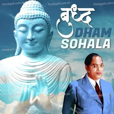 Budh Dham Sohala - Fulchand Kokate cover album