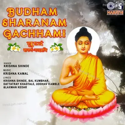 Diksha Sohala - Krishna Shinde album cover 