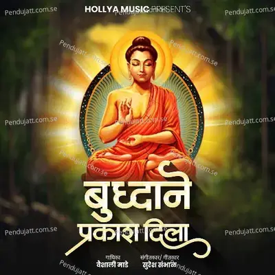 Budhane Prakash Dila - Vaishali Made album cover 