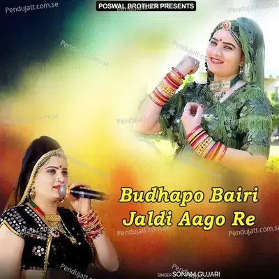 Naag Lapeta Mare Sapera Been Bajawe Re - Sonam Gujari album cover 