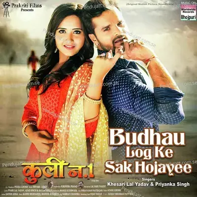 Budhau Log Ke Sak Hojayee - Khesari Lal Yadav album cover 
