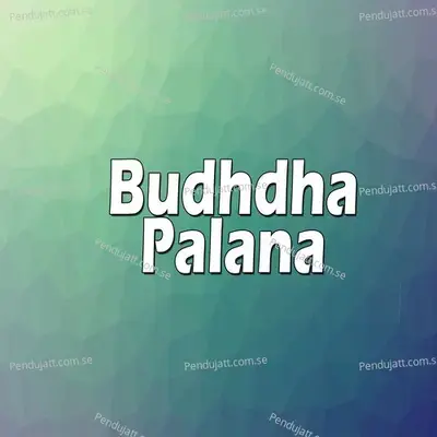 Budhdha Palana - Vishwas Gawale album cover 