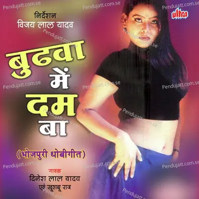 Bada Maza Shahariya Main - Dinesh Lal Yadav album cover 