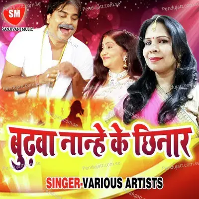 Budhwa Nanhe Ke Chhinar - Bijali Rani album cover 