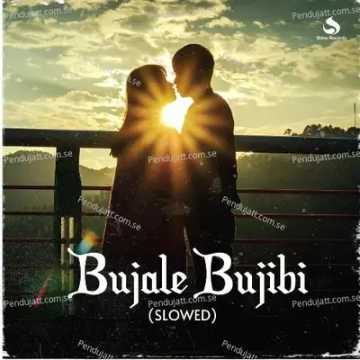 Bujale Bujibi - Parthajyoti Baruah album cover 