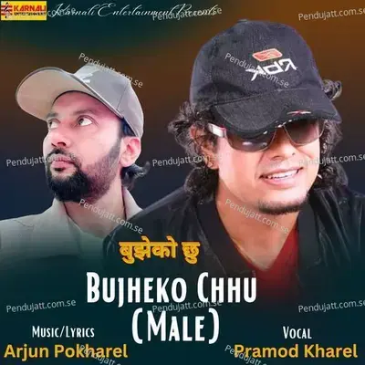 Bujheko Chhu - Pramod Kharel album cover 