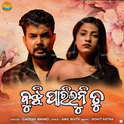 Bujhi Pariluni Tu - Gaurav Anand album cover 