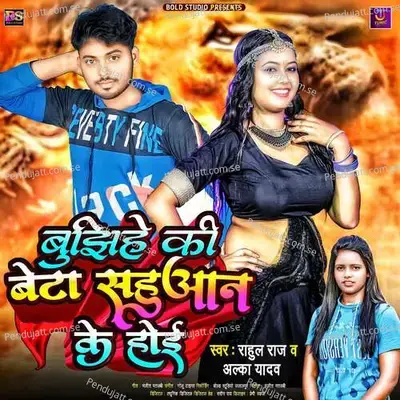 Bujhihe Ki Beta Sahuan Ke Hoi - Alka Yadav album cover 