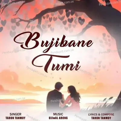 Bujibane Tumi - Tarun Tanmoy album cover 