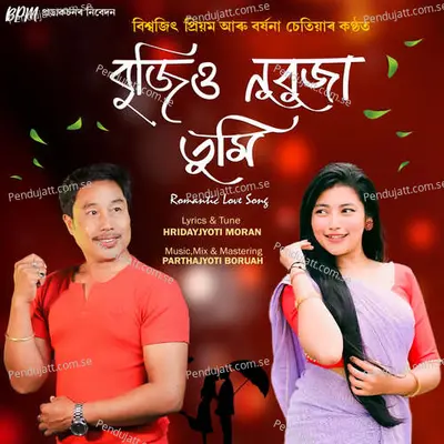 Bujiu Nubuja Tumi - Biswajit Priyam album cover 