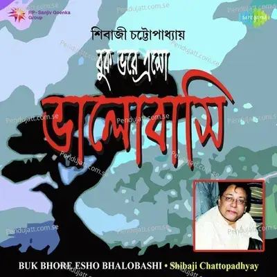 Kato Mithyeke Satyi Bhabi - Sivaji Chatterjee album cover 