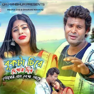 Bukta Chire Dekhai Dibo Torei Naam Lekha Acche - Meera Das album cover 